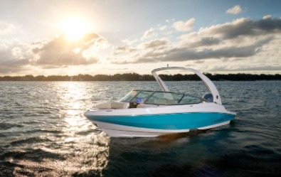 Regal 21 OBX, powertower