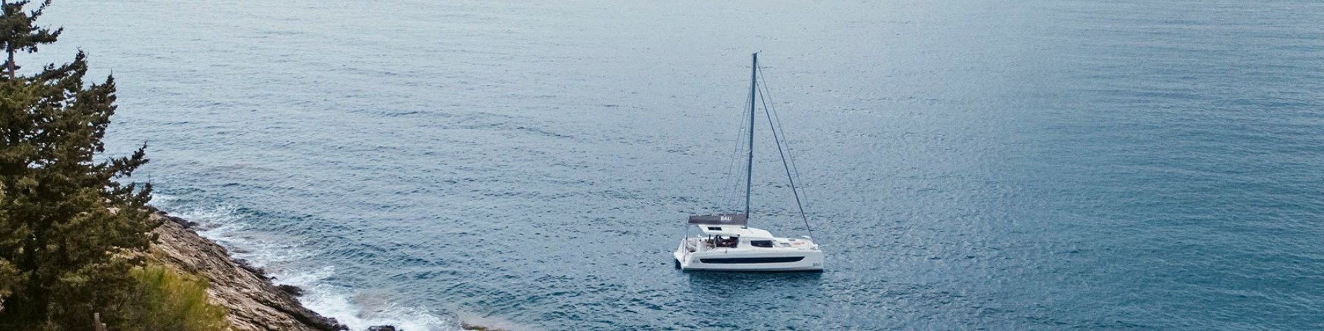 Presenting the new Bali Catsmart